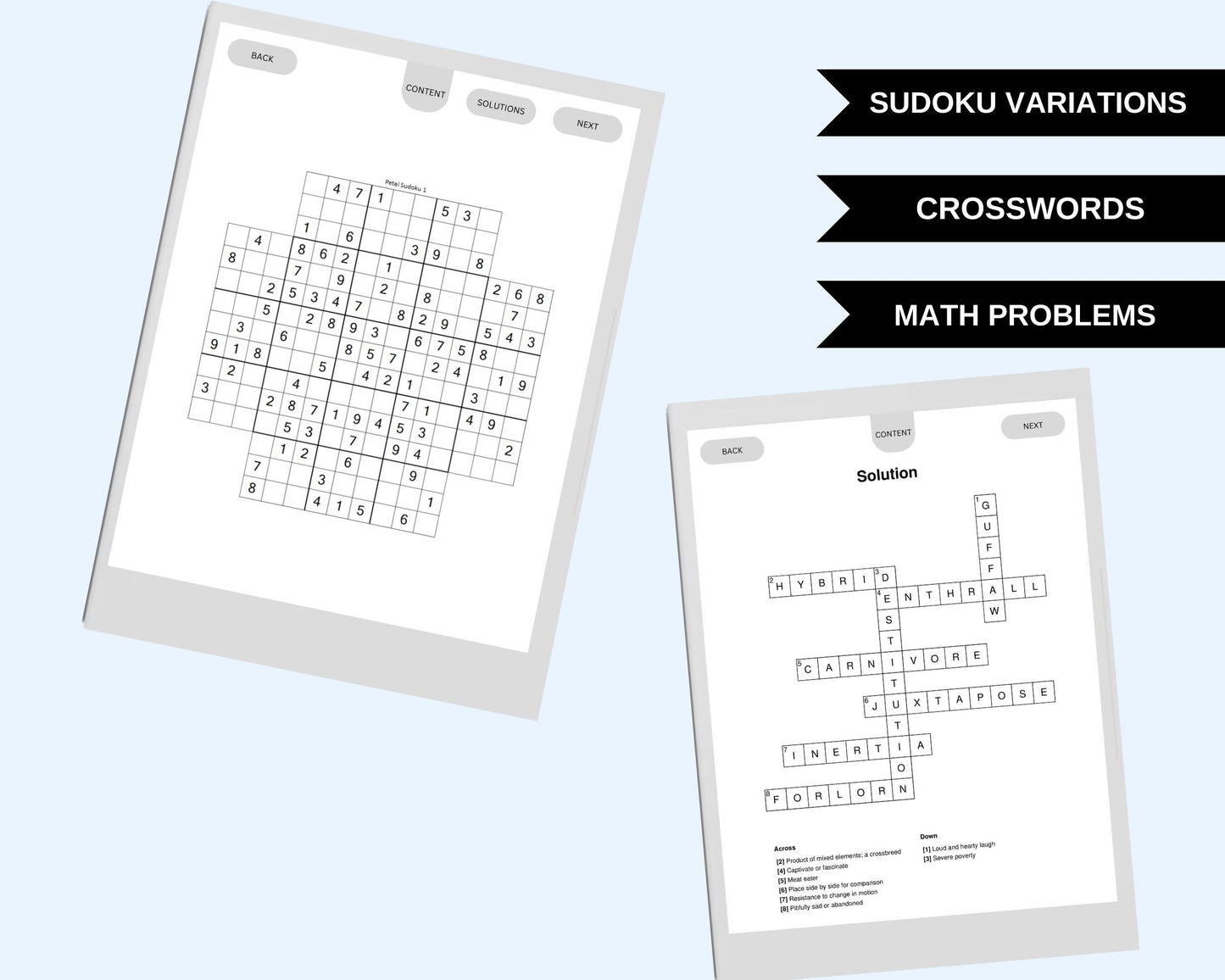 Supernote A5X and A6X Nomad Puzzle Activity Digital Download